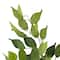 12 Pack: 23" Ficus Spray Floral Essentials by Ashland®